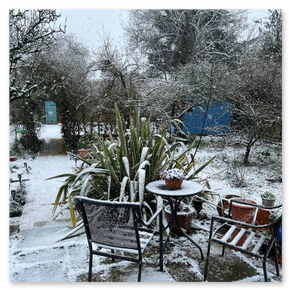 Winterliche Stimmung mit Raureif auf Hecken und Wegen