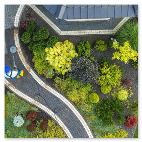 Sommerliche Beete mit Sonnenlicht und bunten Stauden