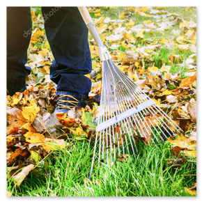 Herbstarbeiten im Garten – Video