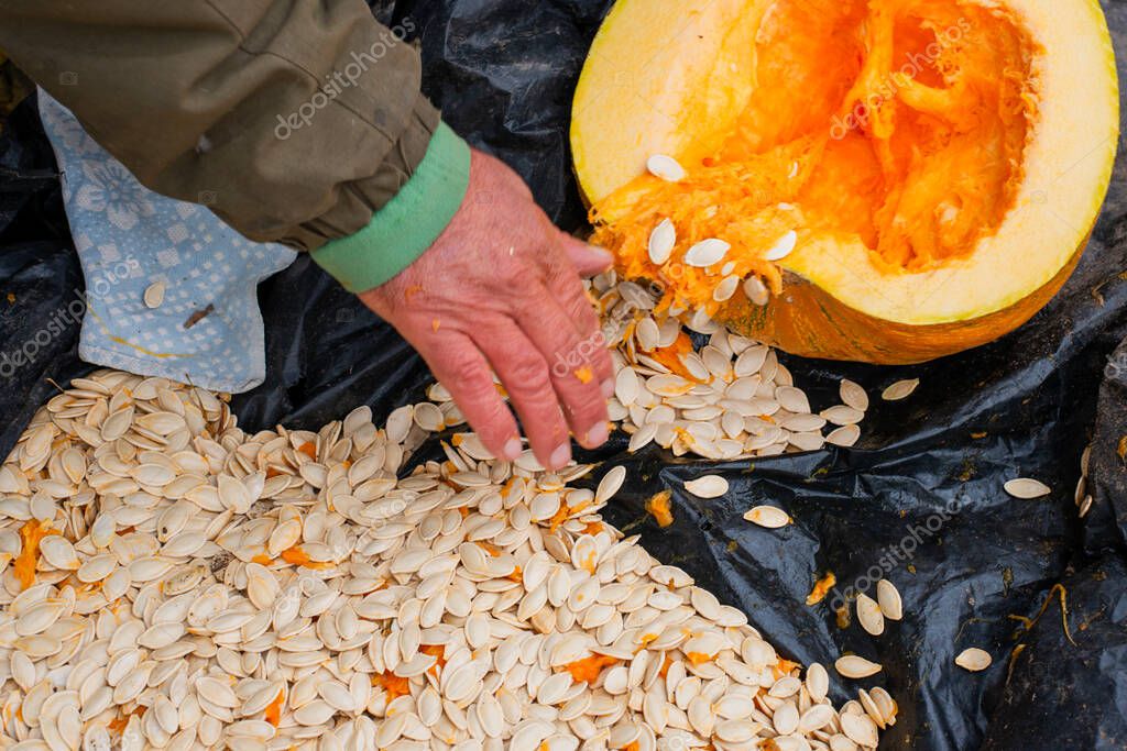 Freiwillige bei der Gartenarbeit
