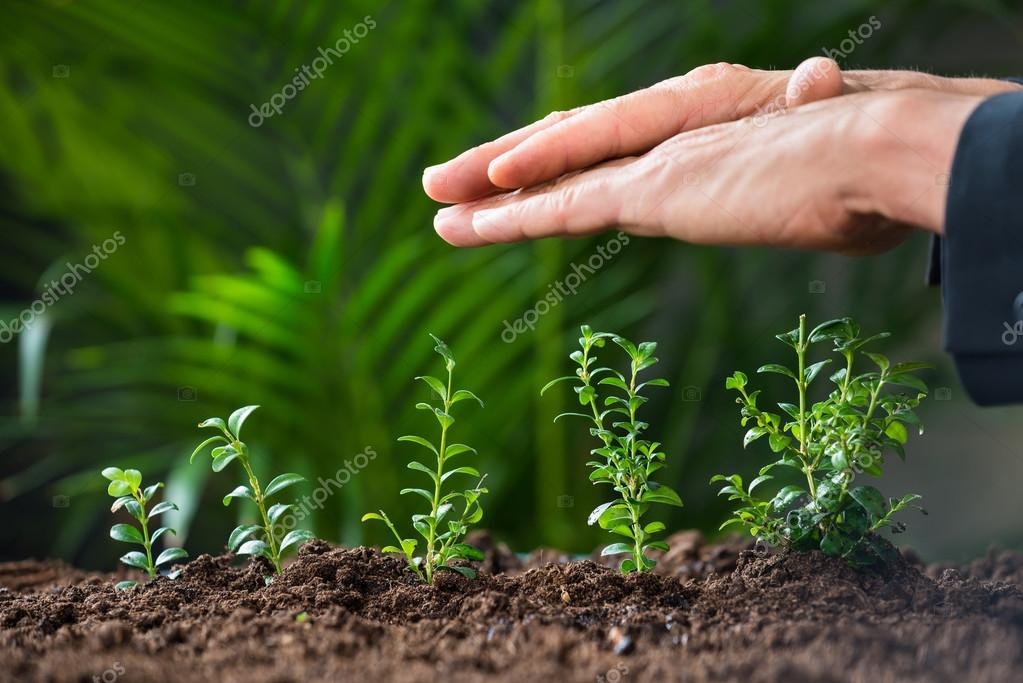 Gartenfachberaterin zwischen Beeten
